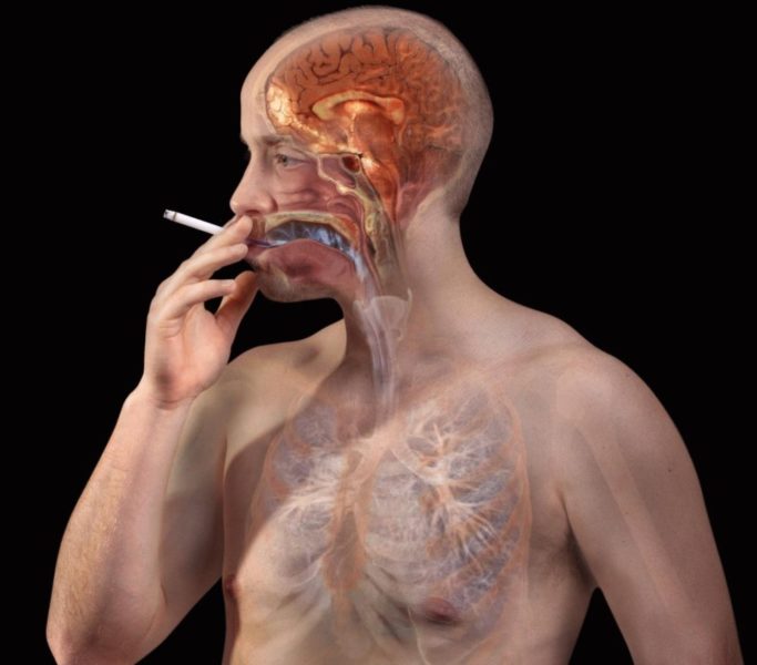 Влияние сигареты на организм
