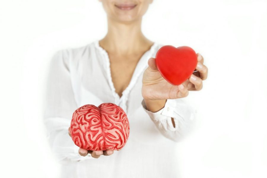 Искусственные мозг и сердце